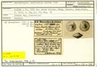 Karteikarte zum Syntyp von Amphistegina aucklandica Karrer, 1864